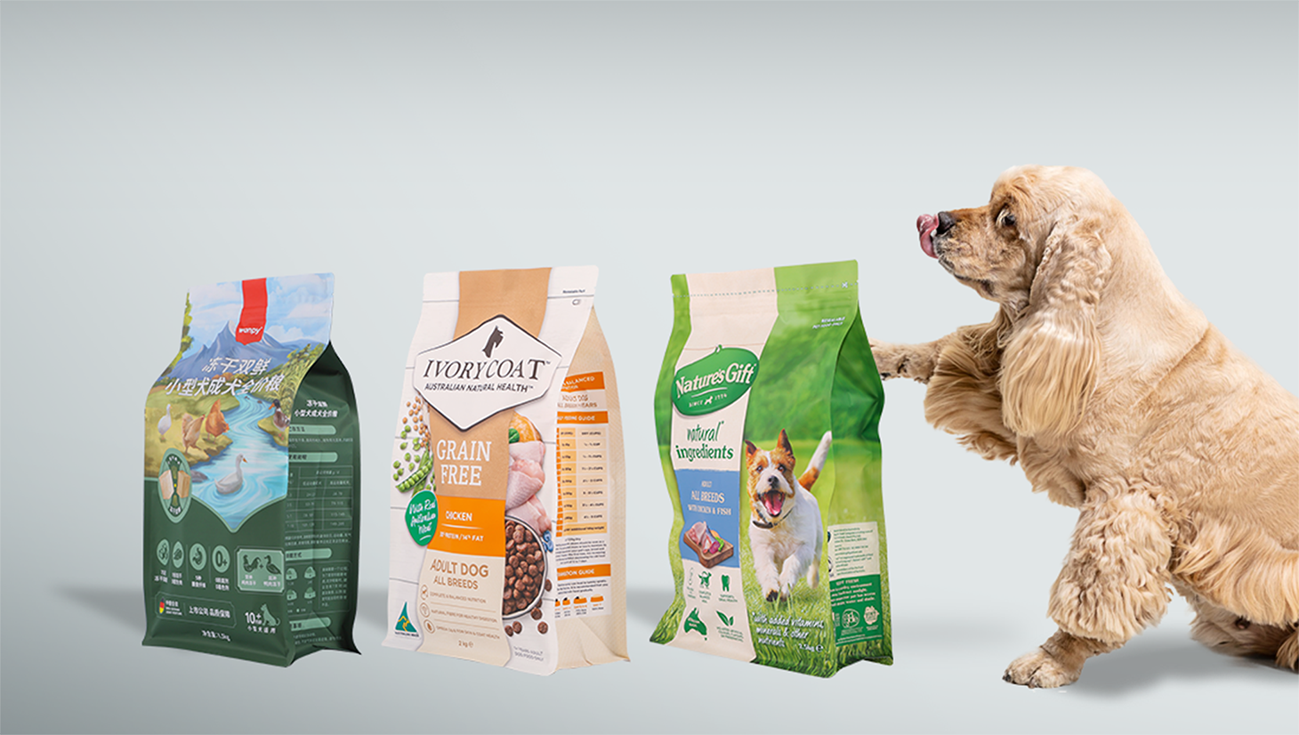 World's first eight-sided seal bag developed